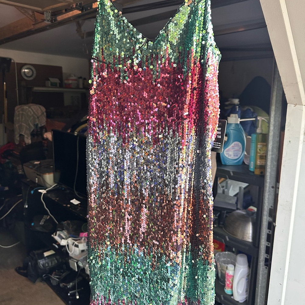 Express Black and Green Sequin Dress